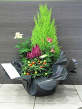 Coupe de plantes rouge